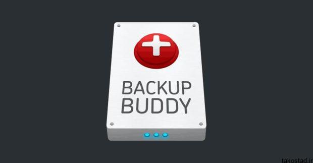 افزونه BackupBuddy